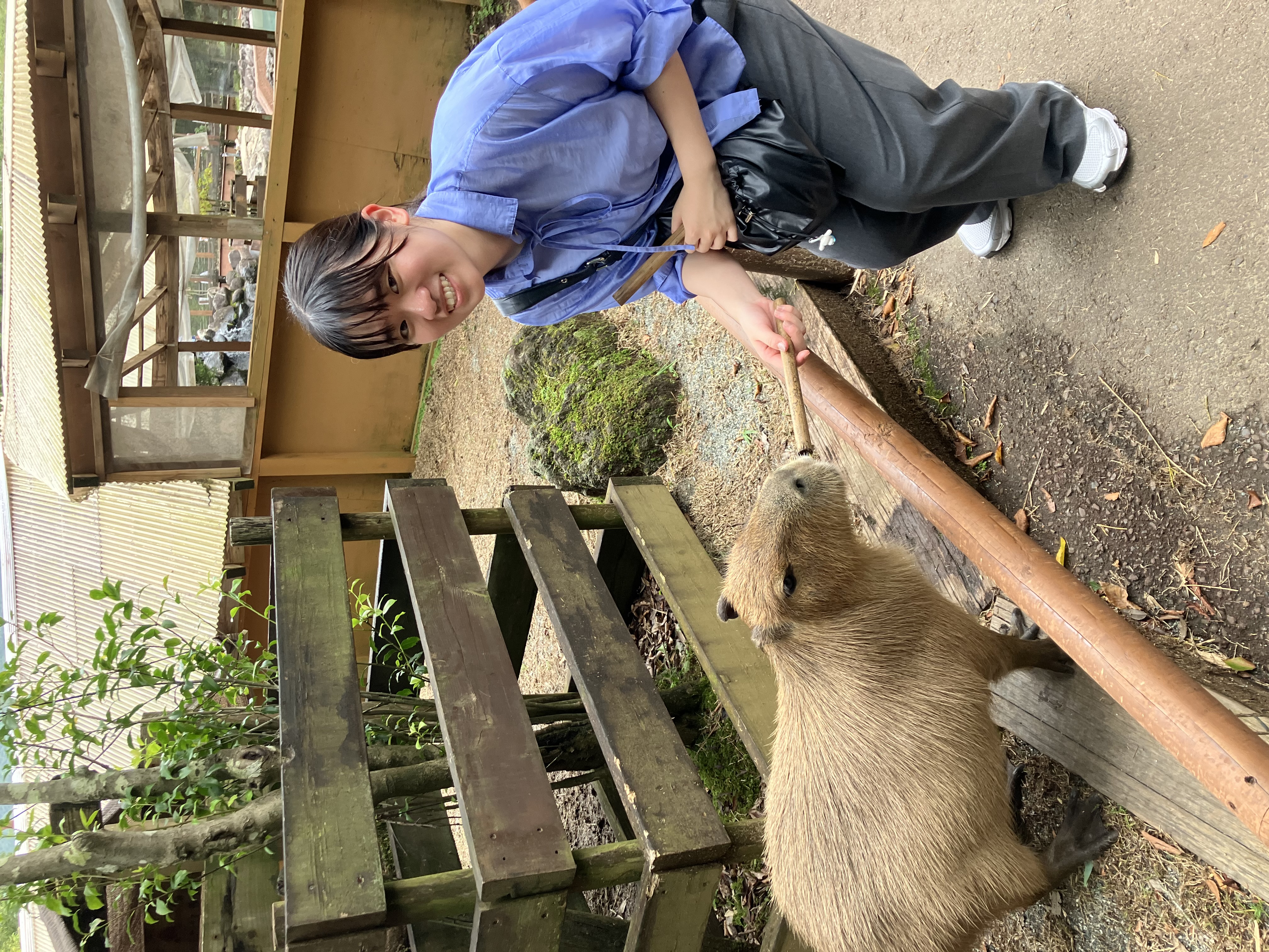 Image 37